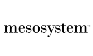 Logo de Mesosystem